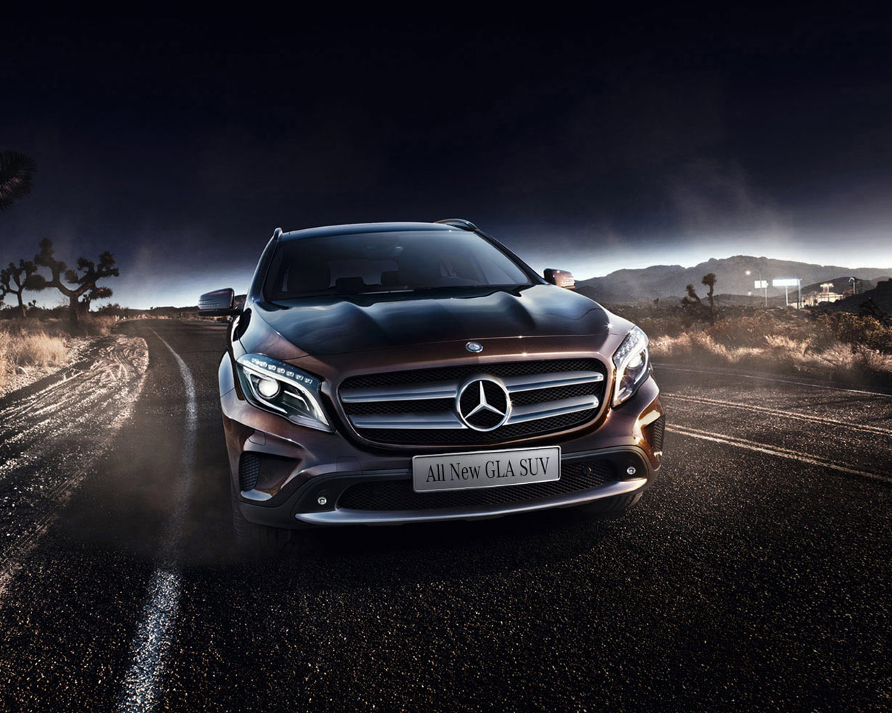 中国人保携手利星行汽车线上嘉年华